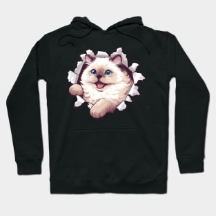 Funny Cut Out Cat Selfie Hoodie